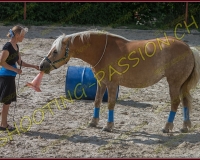 2-14juin015