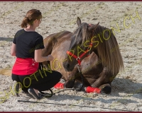 2-14juin018
