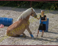 2-14juin026