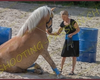 2-14juin029