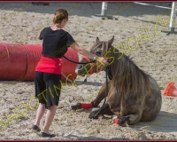 2-14juin033