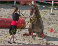 2-14juin034