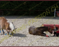 2-14juin036
