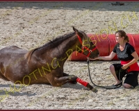 2-14juin042