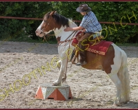 2-14juin085