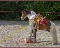 2-14juin089