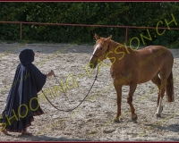 2-14juin100