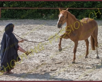 2-14juin101