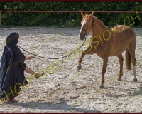 2-14juin102
