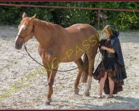 2-14juin110