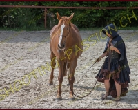 2-14juin113