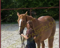 2-14juin118