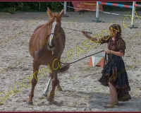 2-14juin127