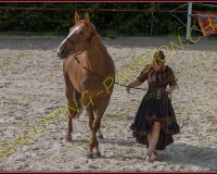2-14juin134