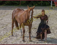 2-14juin135