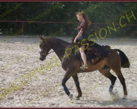 2-14juin158