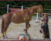 2-14juin185