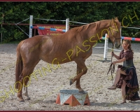 2-14juin187