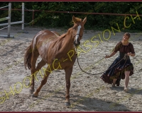 2-14juin200