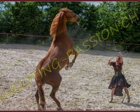 2-14juin204
