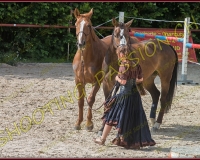 2-14juin209