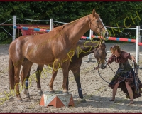 2-14juin215