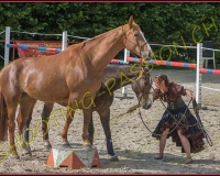 2-14juin216