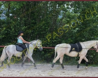 2-14juin225