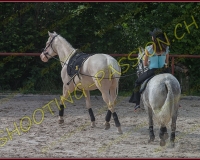 2-14juin237