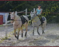 2-14juin239