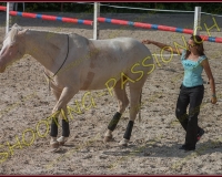 2-14juin269