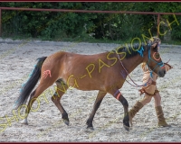 2-14juin308