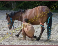 2-14juin325