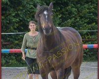 2-14juin334