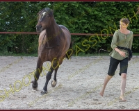 2-14juin348