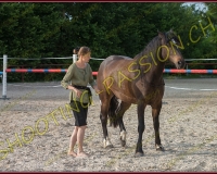 2-14juin351