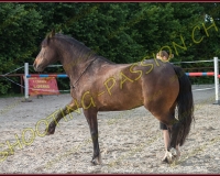 2-14juin355