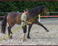 2-14juin357