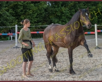 2-14juin359