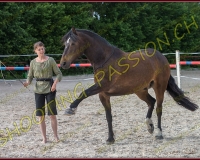 2-14juin361