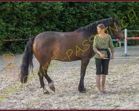 2-14juin367