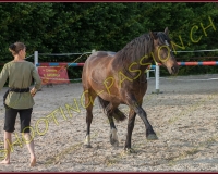 2-14juin375