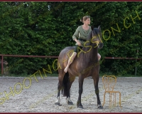 2-14juin383