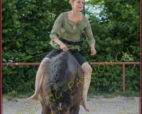 2-14juin387