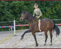 2-14juin395