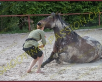 2-14juin410