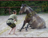 2-14juin413