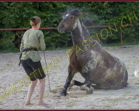 2-14juin415