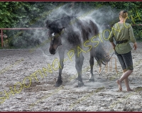 2-14juin422-Modifier