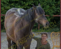 2-14juin428